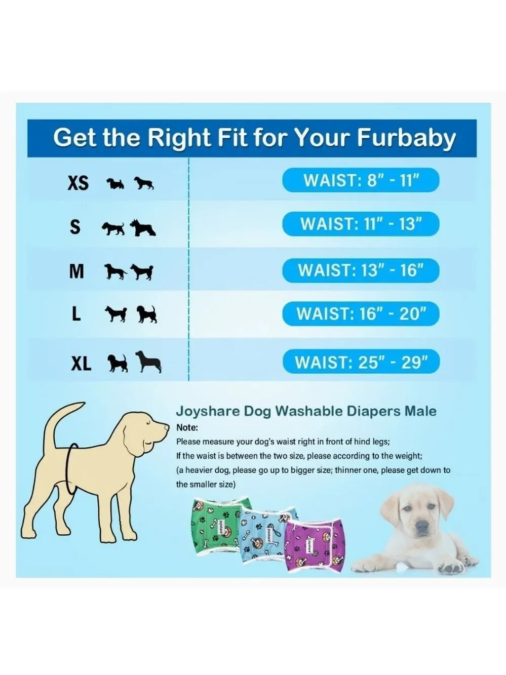 Joyshare XL Washable Male Dog Diaper Reflective Belly Band